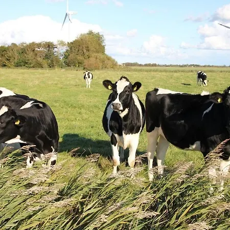 In Ganzlin Klanxbull